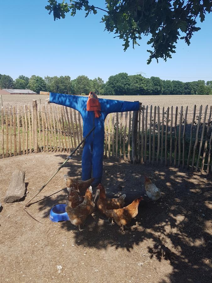 Gasterij Liedorp Panzió Lierop Kültér fotó